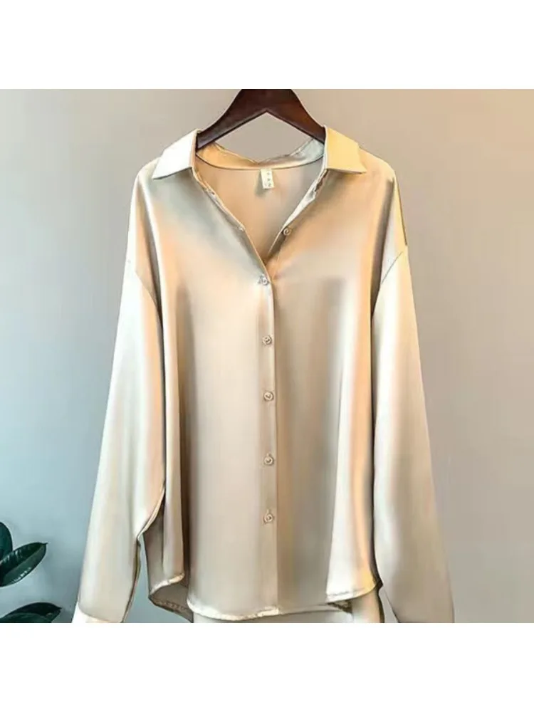 Grande taille décontracté femm - Women'S Formal Wear Blouse avis et prix