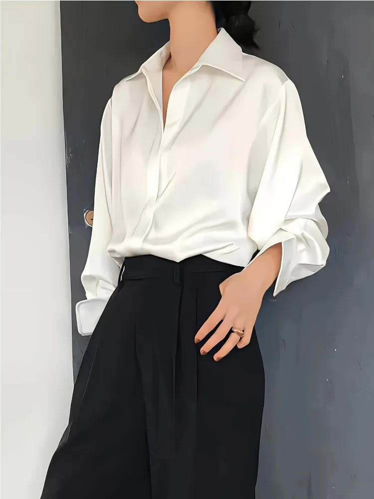 Grande taille décontracté femm - Women'S Formal Wear Blouse avis et prix